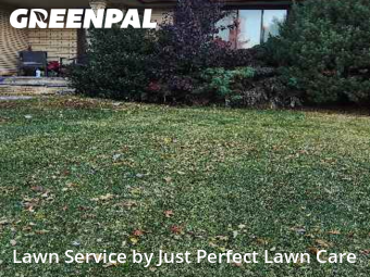 Yard Cutting nearby Parma, OH, 