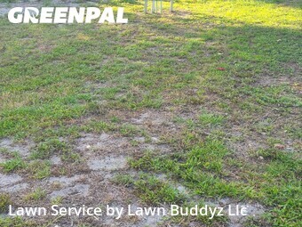Lawn Mow nearby Ormond Beach, FL, 