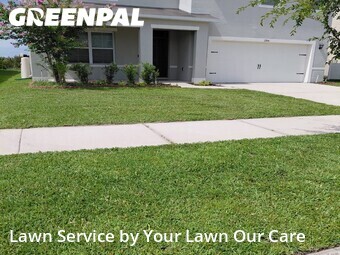 Lawn Maintenance nearby Lakeland, FL, 