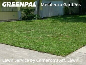 Yard Cutting nearby Dania Beach, FL, 
