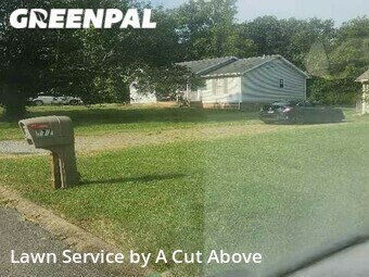 Lawn Service nearby Smyrna, TN, 