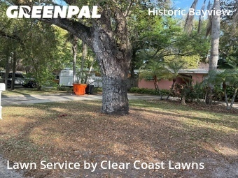 Lawn Cutting nearby Clearwater, FL, 