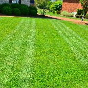 affordable-lawn-services-in-Sandy-UT