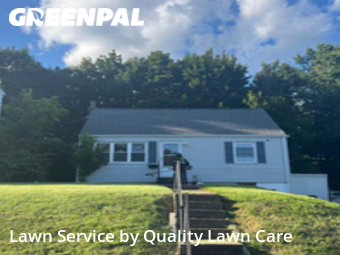 Grass Services in New Britain, 6053, Lawn Services by Quality Lawn Care, work completed in Nov , 2025