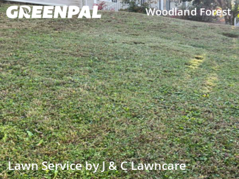 Lawn Maintenance nearby Nashville, TN, 