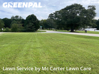 Lawn Cut nearby Campobello, SC, 