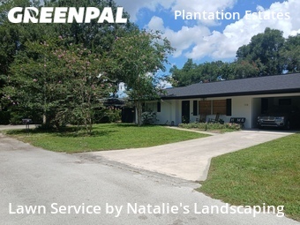 Yard Cutting nearby Debary, FL, 