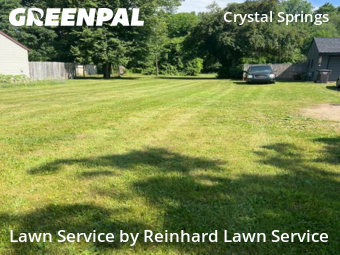 Grass Cutting nearby Grand Rapids, MI, 