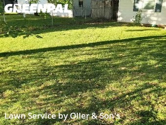 Lawn Mowing nearby Jerome, IL, 