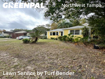 Grass Cut nearby Tampa, FL, 