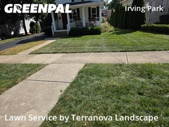 Grass Care in Glen Ellyn, 60137, Lawn Services by Terranova Landscape, work completed in Oct , 2025