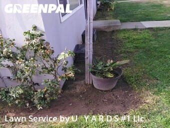 Grass Cut nearby Riverbank, CA, 