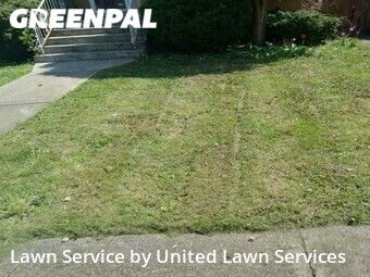Lawn Mowing nearby Chicago, IL, 
