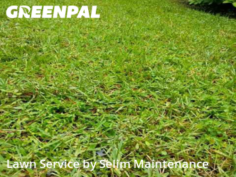 Grass Cutting nearby St. Augustine, FL, 