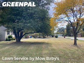 Lawn Mow nearby Murfreesboro, TN, 