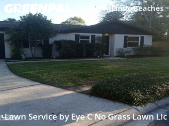 Yard Cuttingin Atlantic Beach,32233,Yard Mowing by Eye C No Grass Lawn Llc, work completed in Nov , 2025