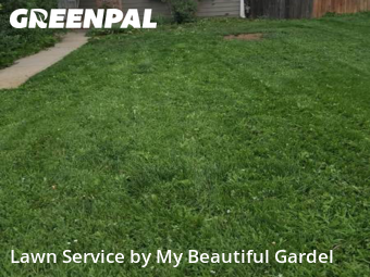 Yard Mowing nearby Thornton, CO, 