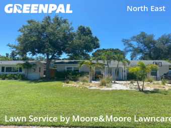 Lawn Mow nearby St. Petersburg, FL, 
