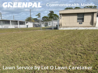 Lawn Mow nearby Port Orange, FL, 