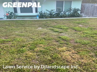 Grass Cut nearby Boynton Beach, FL, 
