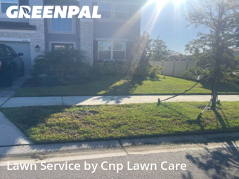 Grass Cuttingin Wesley Chapel,33545,Yard Cutting by Cnp Lawn Care, work completed in Nov , 2025