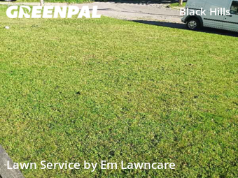 Lawn Mowing nearby Grand Rapids, MI, 