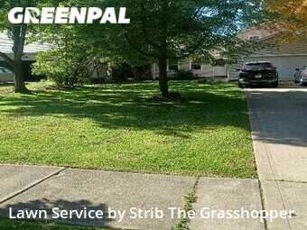Lawn Cutting nearby South Euclid, OH, 