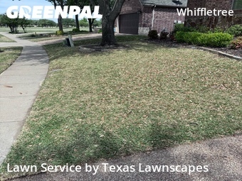 Landscaping Cleanup In Mc Kinney,75070,Landscaping Renovation by Texas Lawnscapes, work completed in Apr , 2026