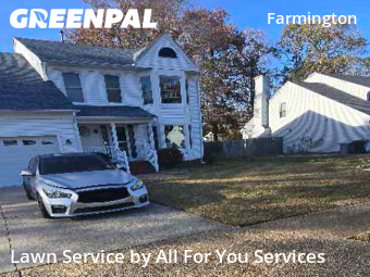 Grass Cut nearby Hampton, VA, 