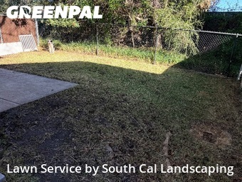 Affordable Landscaping In San Diego,92124,Landscaping Renovation by South Cal Landscaping, work completed in Jan , 2026