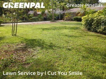 Lawn Mow nearby St. Petersburg, FL, 