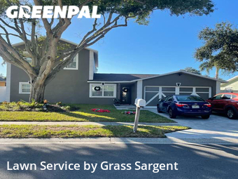 Grass Cut nearby Seminole, FL, 