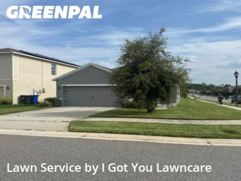 Lawn Mow nearby Ocoee, FL, 