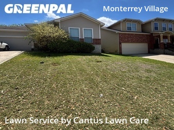 Grass Cut nearby San Antonio, TX, 