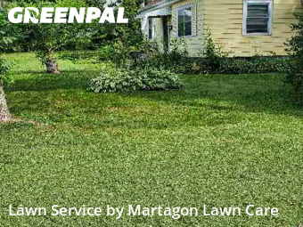 Lawn Mow nearby Saint Paul Park, MN, 