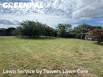 Lawn Cutting nearby Cedar Park, TX, 
