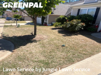 Grass Cut nearby Bogart, GA, 