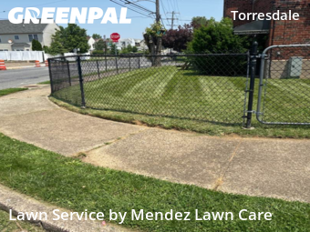 Grass Cutting nearby Philadelphia, PA, 