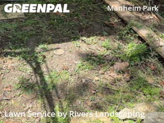 Lawn Cut nearby Kansas City, KS, 