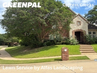 Lawn Servicein Plano,75093,Lawn Mow by Alfas Landscaping, work completed in Jun , 2026