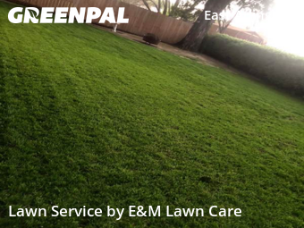 Lawn Maintenance nearby Arlington, TX, 