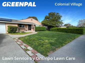 Yard Mowing nearby Sacramento, CA, 