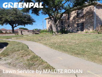 Grass Services in Allen, 75002, Yard Maintenance by MALDEZ RONAN, work completed in Nov , 2025