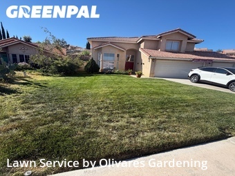 Work completed by the-yard-cutting-businesses-in-Palmdale-CA