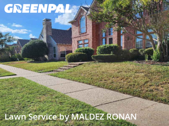 Lawn Servicein Richardson,75082,Lawn Maintenance by MALDEZ RONAN, work completed in Dec , 2025