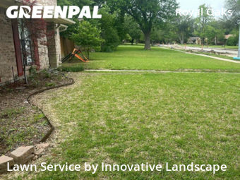 Yard Cutting nearby Plano, TX, 