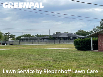 Grass Cutting nearby Lutz, FL, 