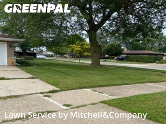 Lawn Service nearby Westland, MI, 