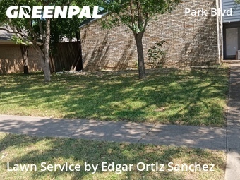 Lawn Cutin Plano,75075,Lawn Maintenance by Edgar Ortiz Sanchez, work completed in Jun , 2026