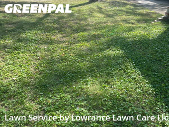 Grass Cut nearby Blue Springs, MO, 